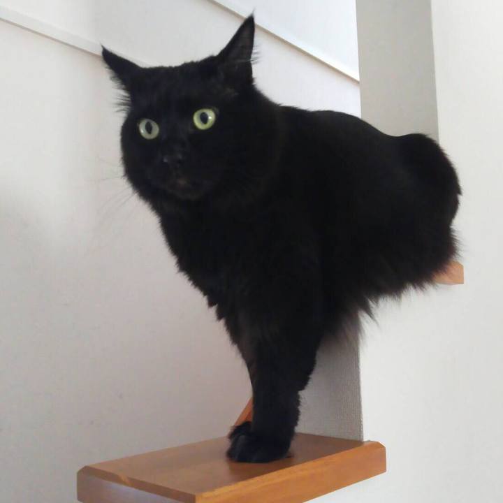 A49d292a 287e 4a71 8bb8 9e15d0890a15