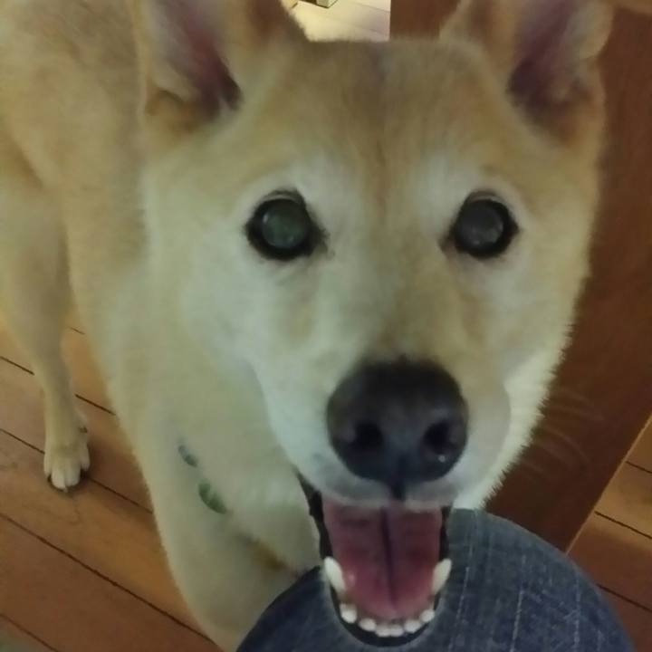 A49d4fe6 8834 49bd b82e b8ccb339fdea