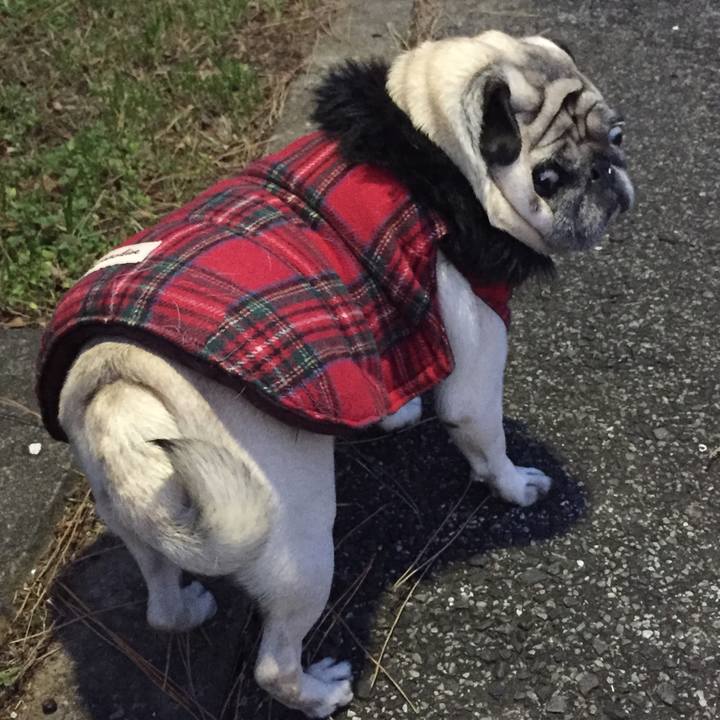 A49dad1c 1424 4e2d a362 2a13a8c7d243