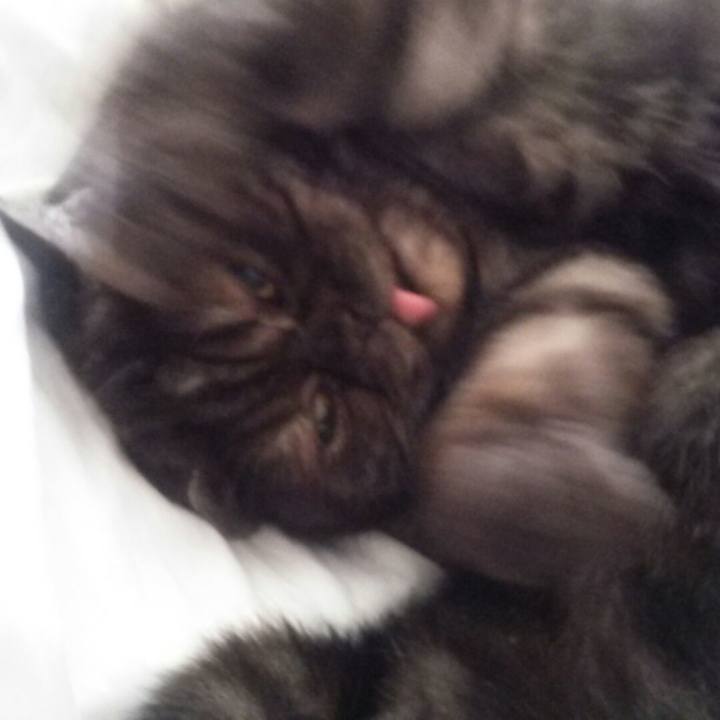 A49e15c3 0472 4873 9b09 d6d9d9f3df0b