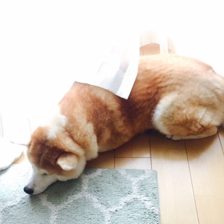 A49e815e ee73 4885 90a8 2a466322697d