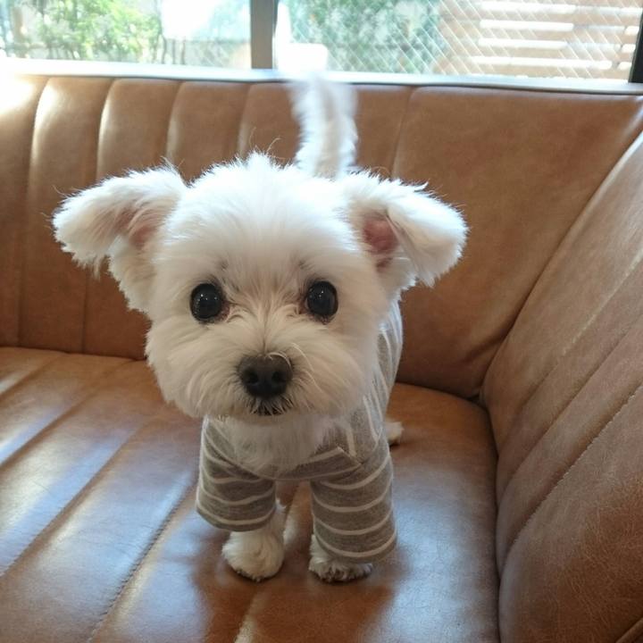 A49e81e6 3a63 4177 b01f 68a9d0f75775