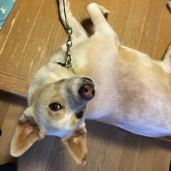 A49ea5b6 c277 4257 8040 5434a54f2f93