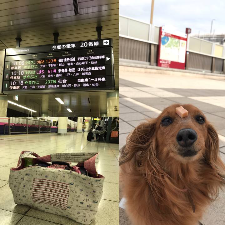 A49ea5ef 6617 4692 b6c1 e3cd0f3f8ee3