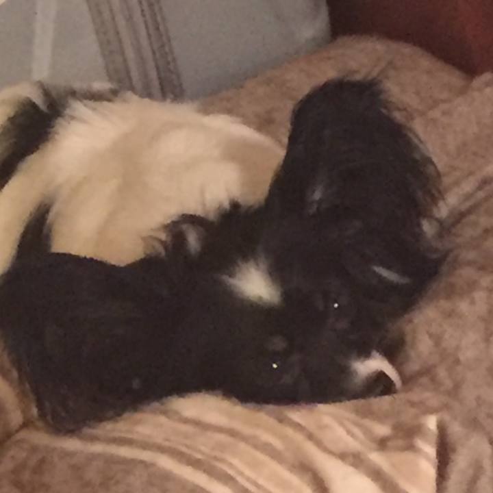 A4a00ef0 4584 44d1 abcc daa359cc5cc0