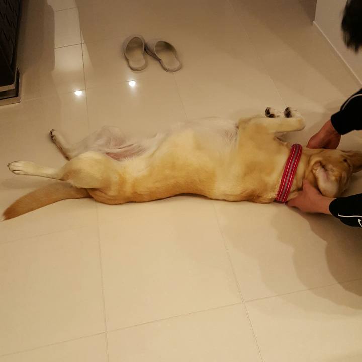 A4a1c641 c97a 4e7d b78b ad115eb041e6