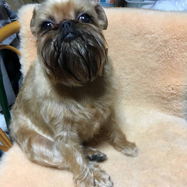 A4a23038 4a71 440a b02e 1e02832092ad