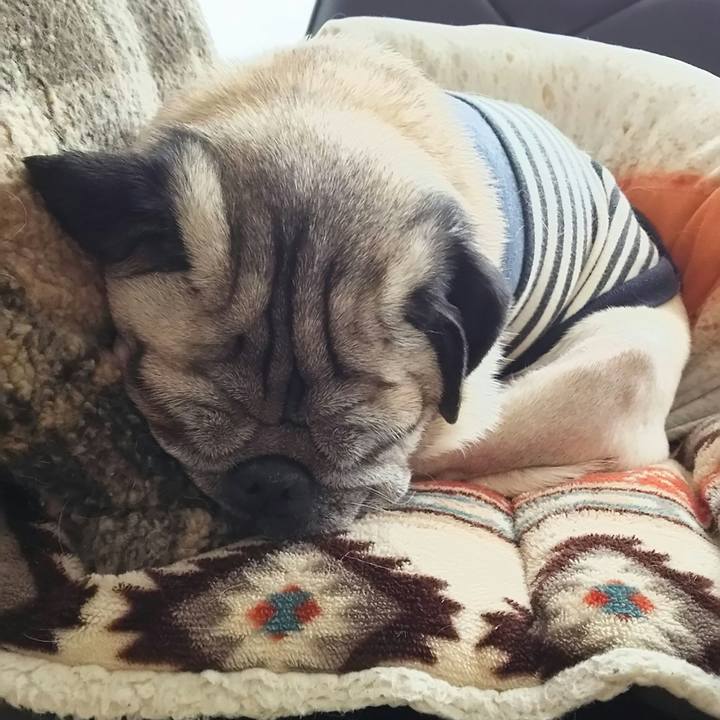 A4a25629 8e0f 40be 9d4c c22eb172b0ba