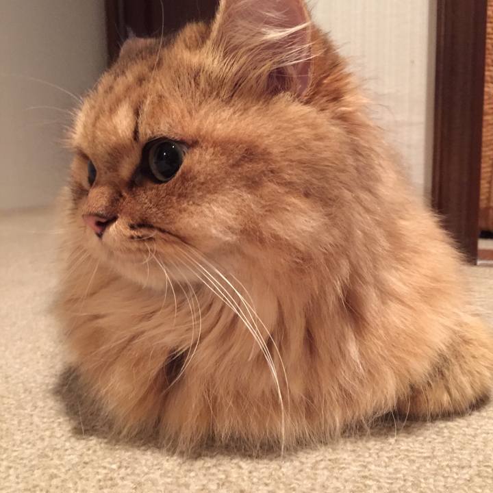 A4a42f2b 0141 4a35 9154 3b11c17fd3cb