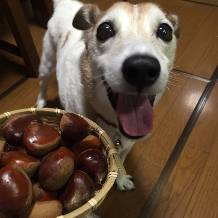 A4a46860 13b6 47c5 855d 03f5017c682b