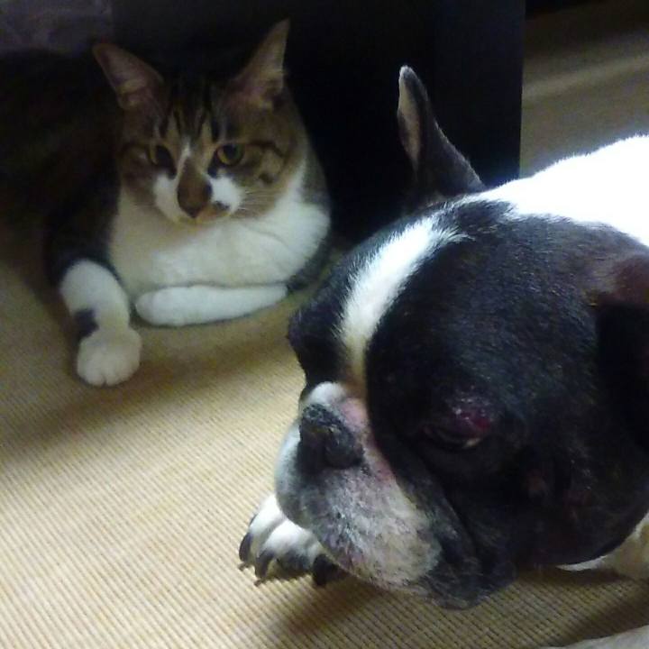 A4a4a1b1 2d1a 44b7 8689 08b3167854c9