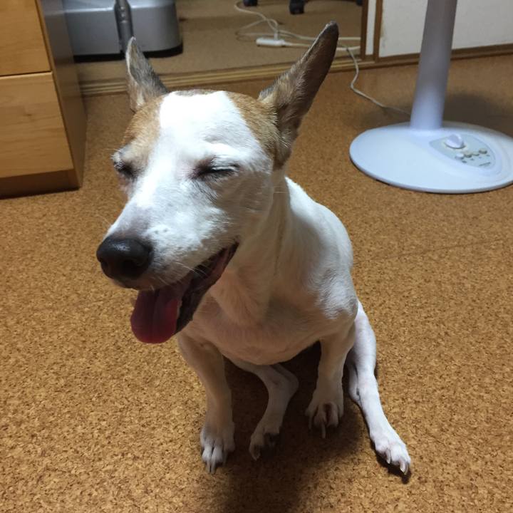 A4a58c6e 70bc 460c a21f a5e07a0e9c1c