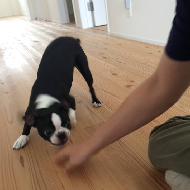 A4a60eb3 9c89 41ad 826a dc3f0cc9c094