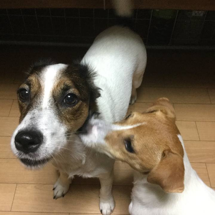 A4a67424 bdb9 4acc 8640 b4a7468ff3a8