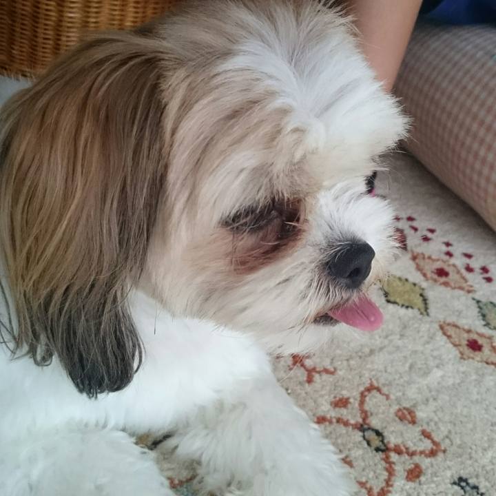 A4a71cb4 eed8 4fe5 ac41 ecd4143ae756