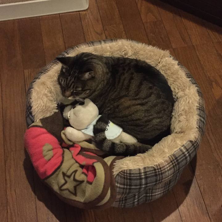 A4a725f2 f1d5 4682 9d69 0c6cb84ec528