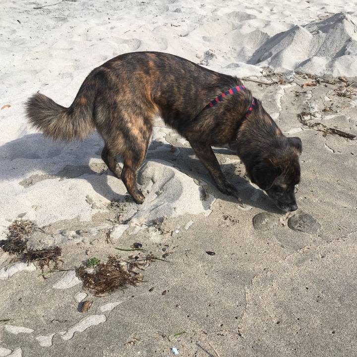 A4a72b0f 361b 4f5c bb81 3ecab76dbffa