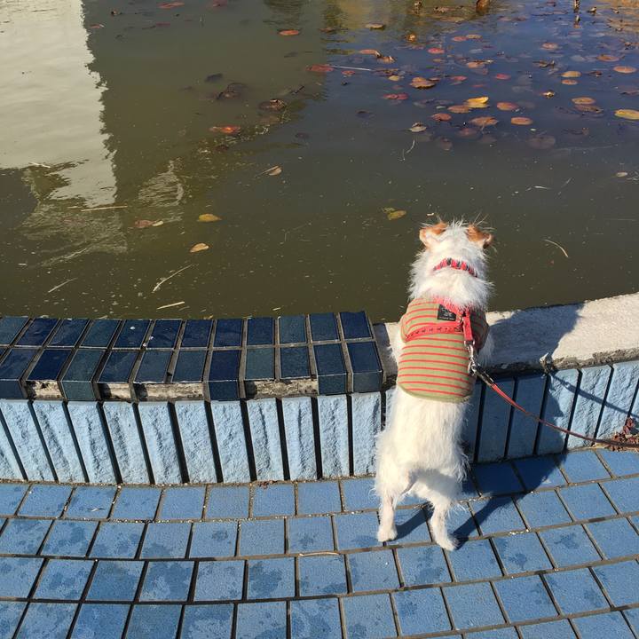 A4a737dc ab6c 41d4 aebe a9f001bb31ad