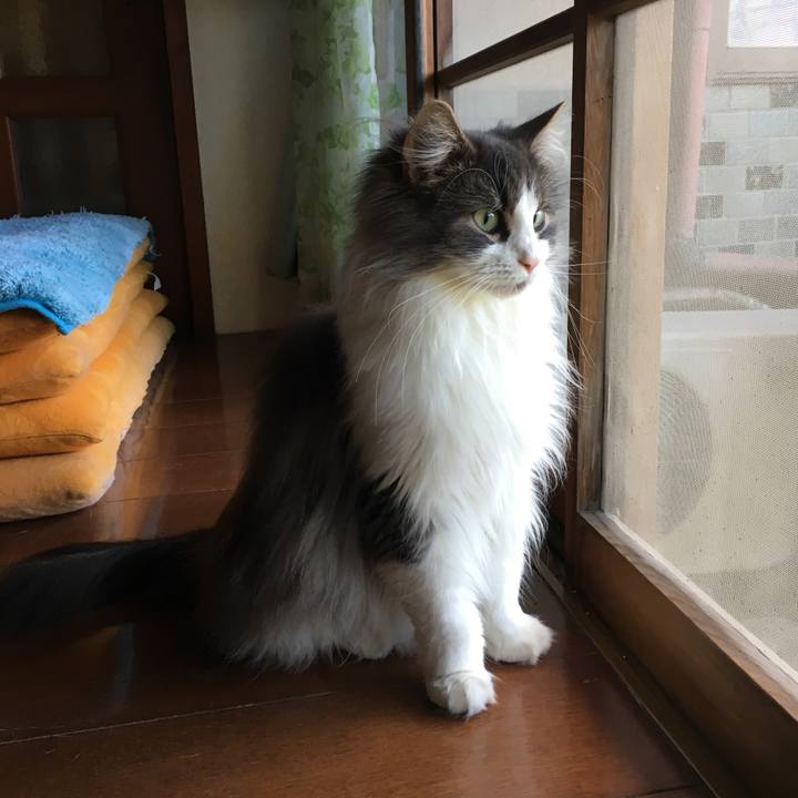 A4a7a658 da8a 4942 8d80 d89e1bce0d2b