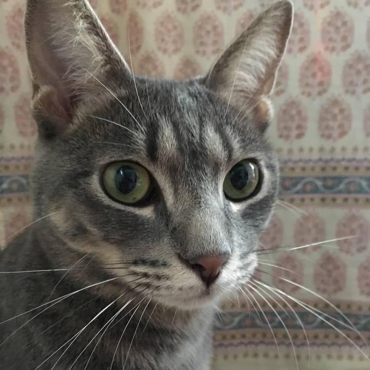 A4a7e7e3 70bb 47b3 bceb 82d63a6fd00f