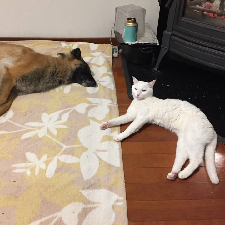 A4a88631 324b 439a 895b 431b4442cb4e