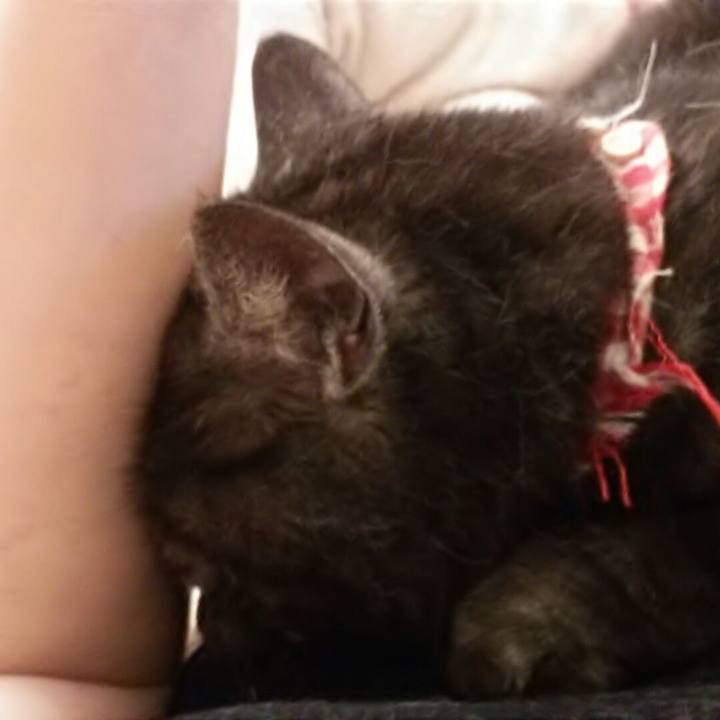 A4a8d667 02f7 4199 ba51 d8eb4f9e84ba