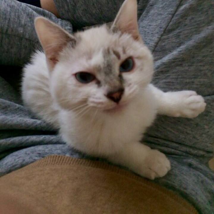 A4a97bbe c6b1 4456 a3fb 45eddd1392c4