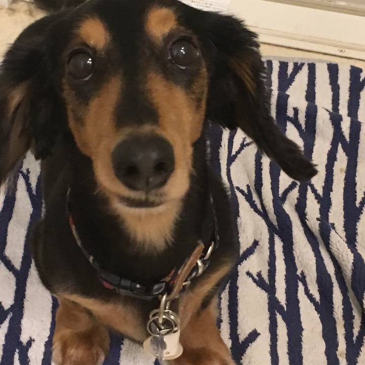 A4a9c699 b284 48f7 93a3 e9beed94a483