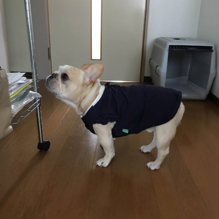 A4a9d64a 84b0 47ec 9aac 376a90f48b4a