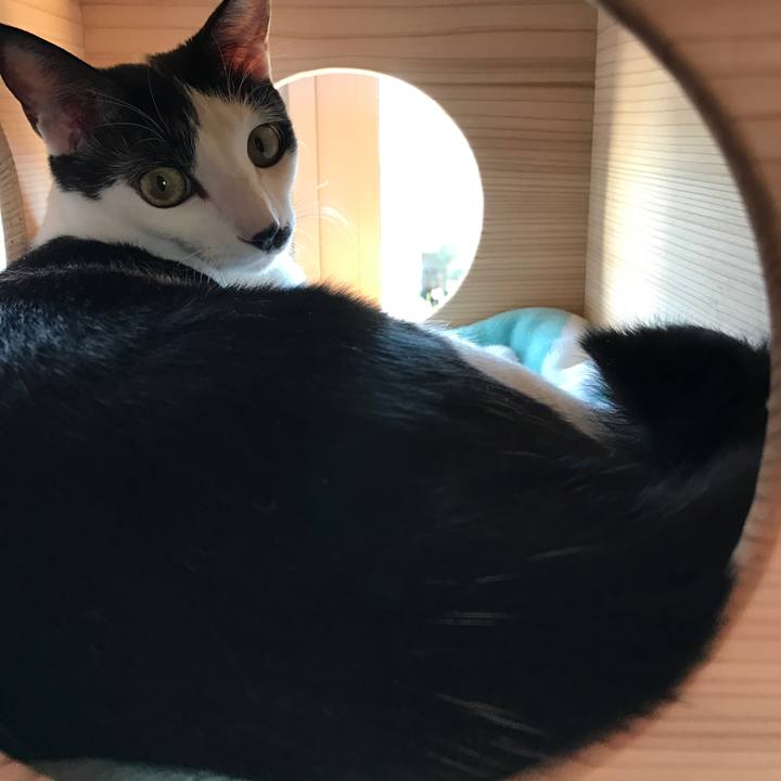 A4aa4acf 2c20 4324 96a2 34f563f6c836