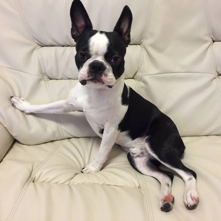 A4aa5f50 afa4 402f 8487 86e39c10f3da