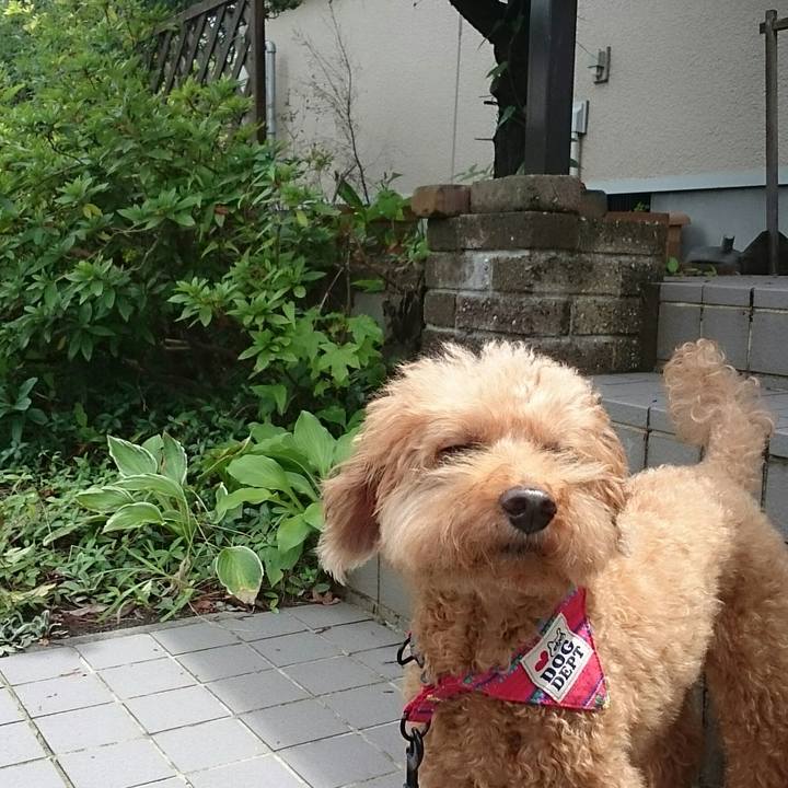 A4aa7a64 e5b9 4844 82ed c337cdacbac6