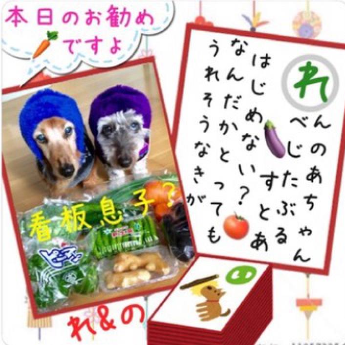 A4ab241c 20bb 47bc 86aa baaa54595262