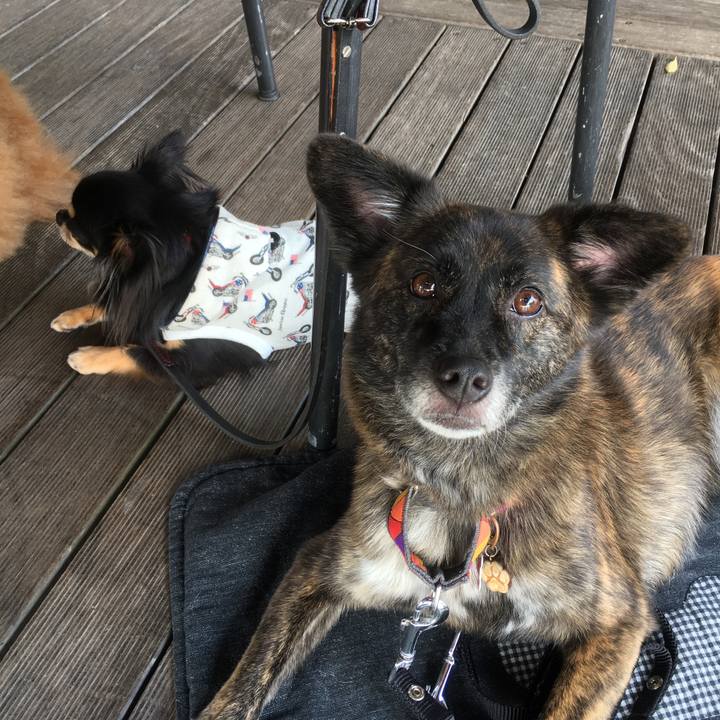 A4ab47b4 0c4d 41e3 8b6b dcc95a7b9ea8