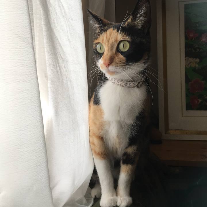 A4ab4954 fd79 411d b0c6 3511fe51ae40