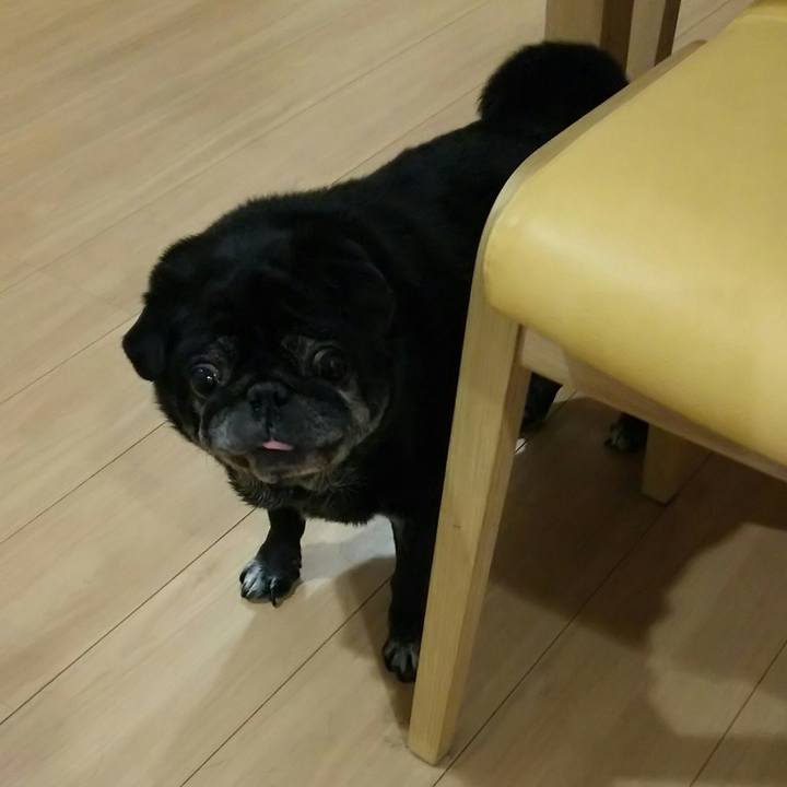 A4abc0f1 5de4 493c a093 c0fc728db2ec