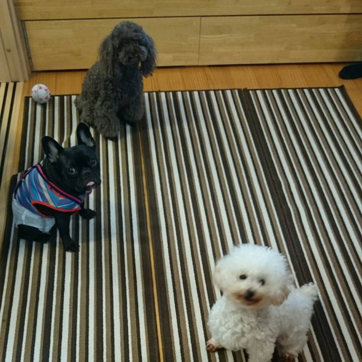 A4ac2a9e 2f7e 47f5 b0a5 93b0e266aafe