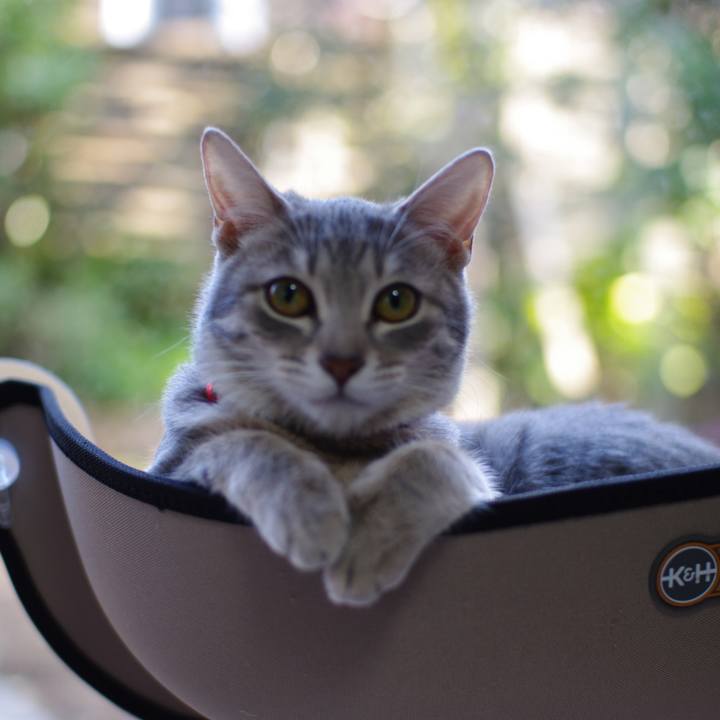 A4acb367 ea58 4a2b b45c fda1ebe212e9