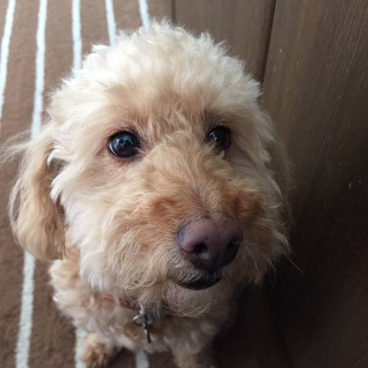 A4ad79aa bec5 4078 8145 b72767ebf783