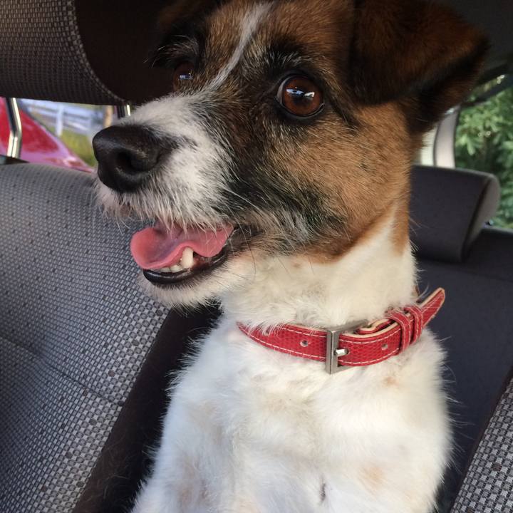 A4ad8207 0070 4e72 8c60 a37528a2bb59