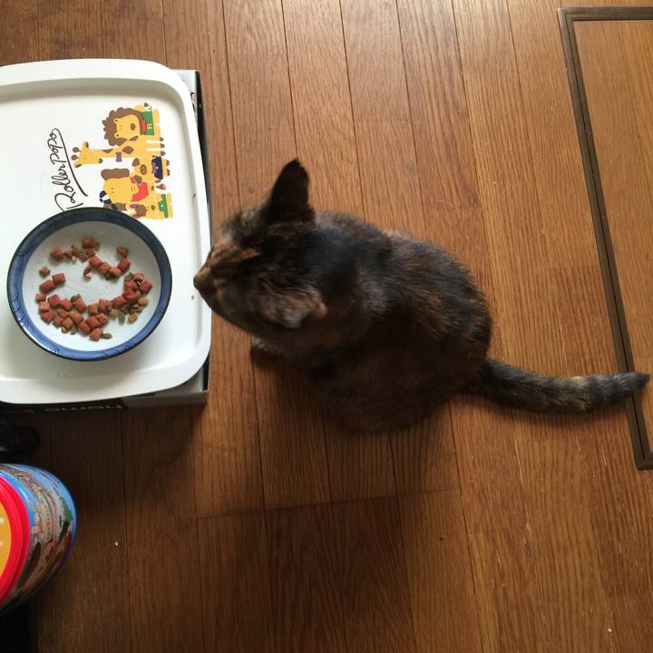 A4adf4f2 b7f3 4107 9607 fa3931b1b86e