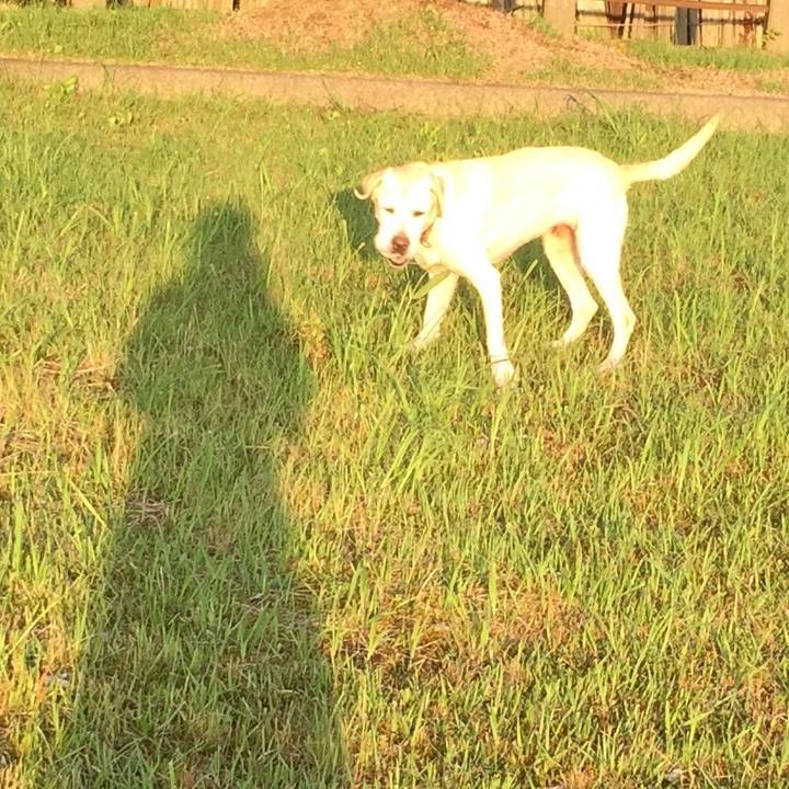 A4ae4b02 51ba 451d 97fe 2b3b9305c937