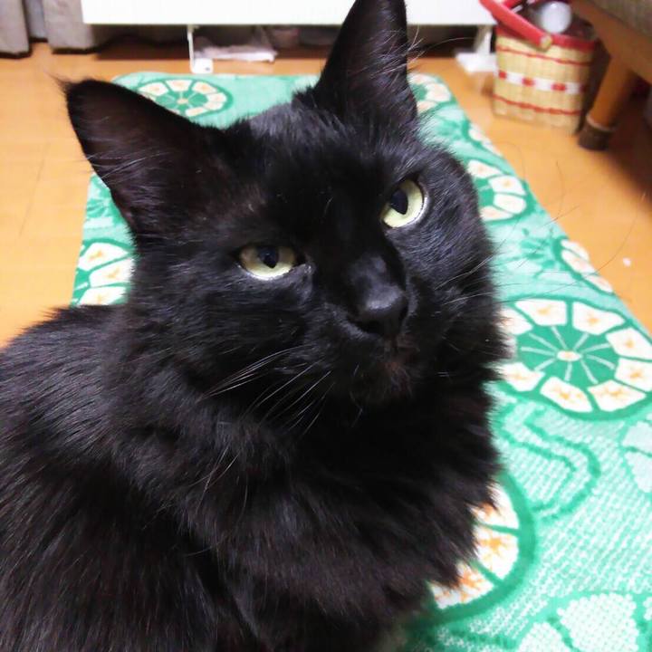 A4af4e65 1b25 44bc ac0a 8f833ff87abe