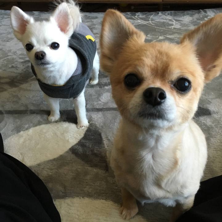 A4affdd9 8363 4500 a12f e566f9f56ab7