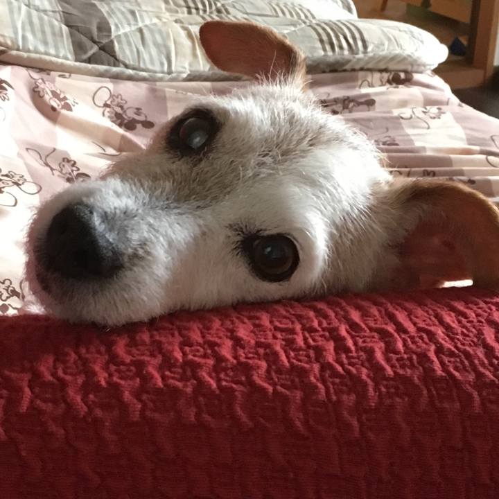 A4b0bbf9 426a 4fd4 8602 fa24dfea101c