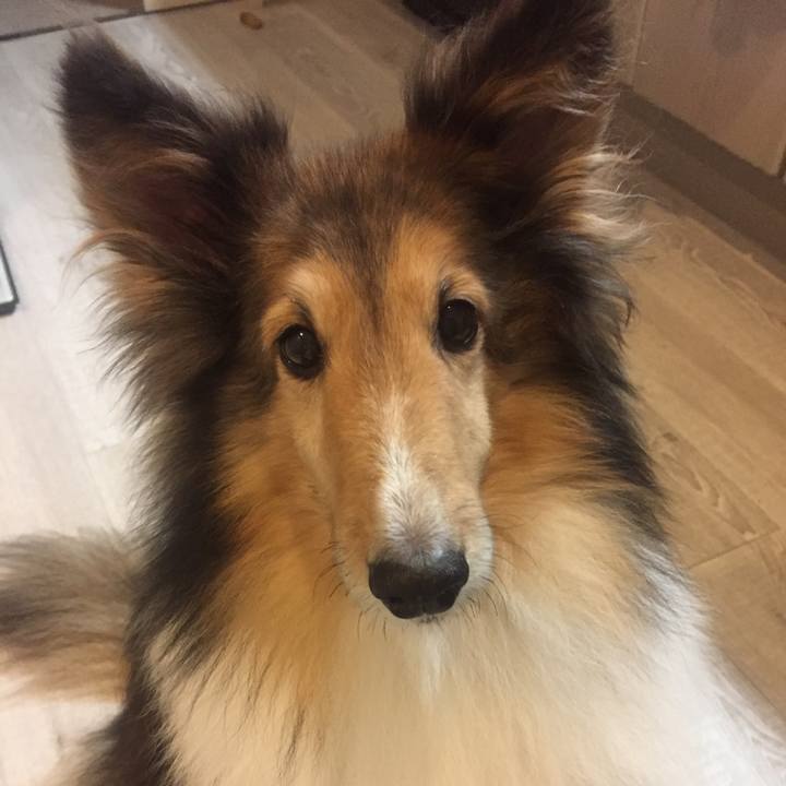 A4b148c4 c920 45df 820f bd8f2f1bd786