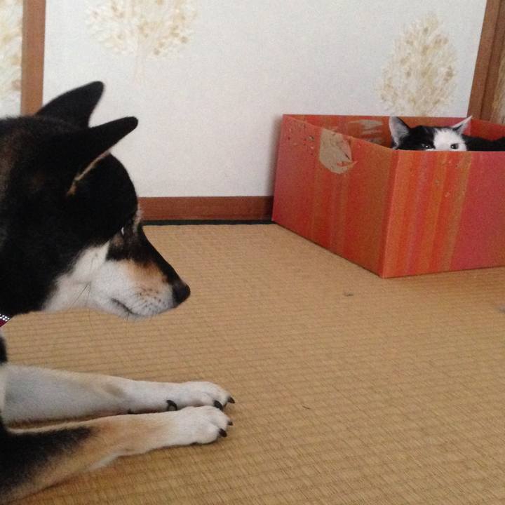 A4b168f0 9305 4754 a1f1 0faa10b7f446