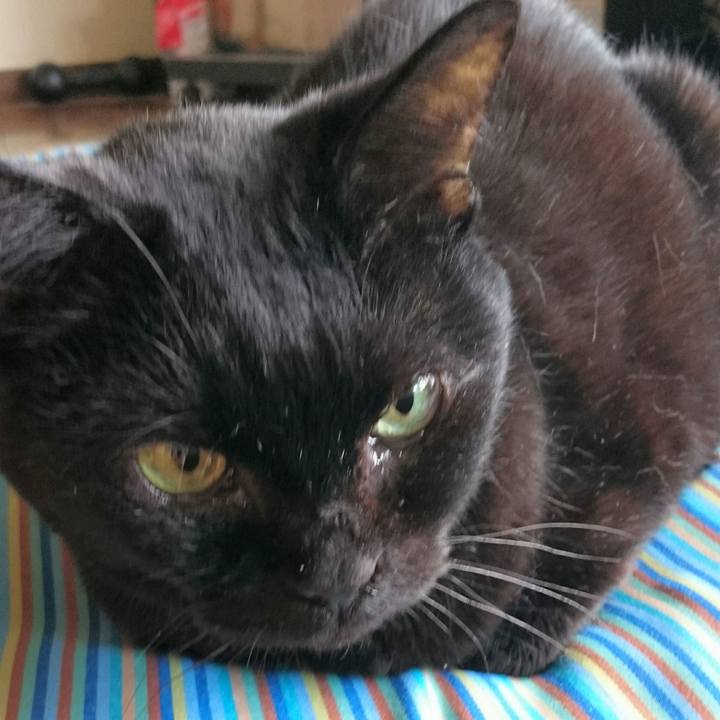 A4b2a6c5 0dd1 4c43 87b3 604f8a16abd1