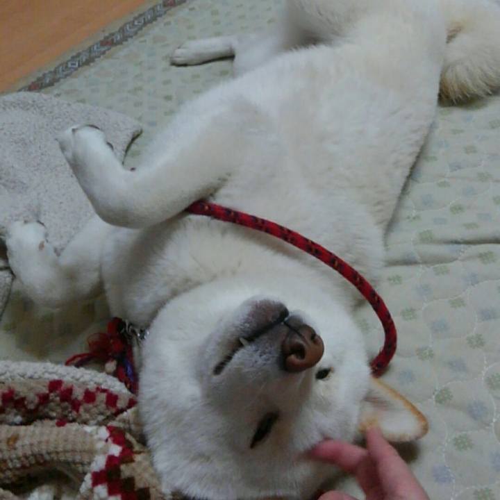 A4b2d484 b23c 4551 985a 96caab9f3e4e