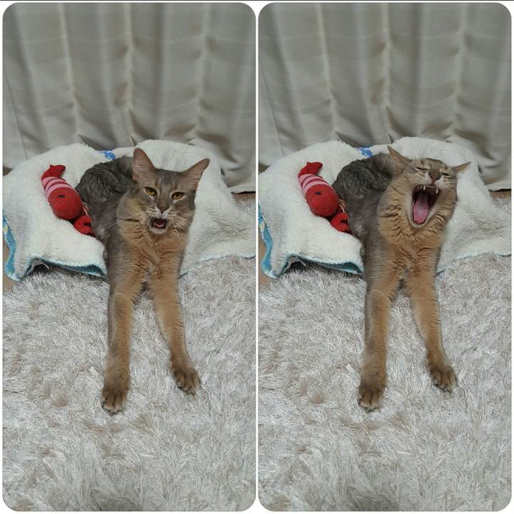 A4b2f18e 3267 4792 9bb4 59fdb8f05295